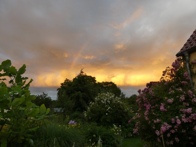 2020-07-05 Garteneinblick 16.jpg