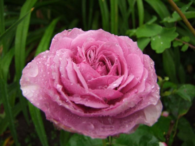 2020_0406JuliSturmtag0013.JPG
