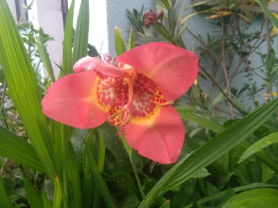IMG_20200708_160058.jpg