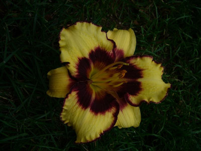 P1050081.JPG