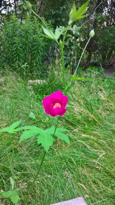 WP_20200708_18_38_32_Pro.jpg