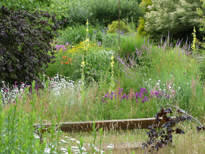2020-07-08 Gartenimpressionen 1.jpg