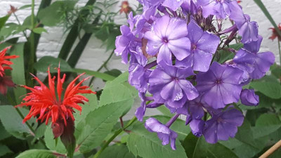 20200707_205643.jpg