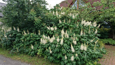 von der Straße aus.JPG