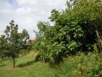 DSCN9804.JPG