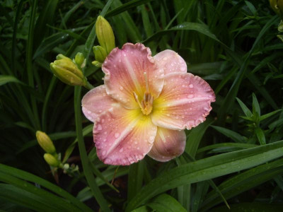 IMGP1259.JPG