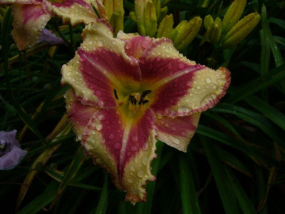 P1050100.JPG