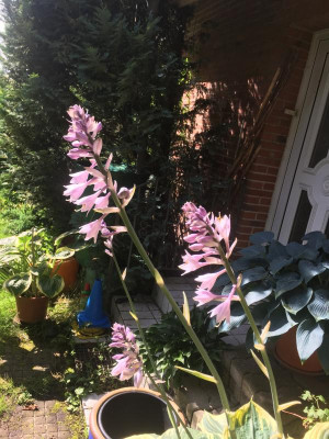 2F6A3DFA-0964-4558-B7F5-51FE6DD0E1DF.jpeg