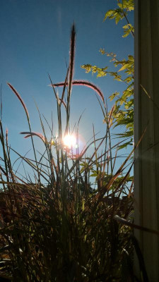 WP_20200712_07_23_30_Pro.jpg