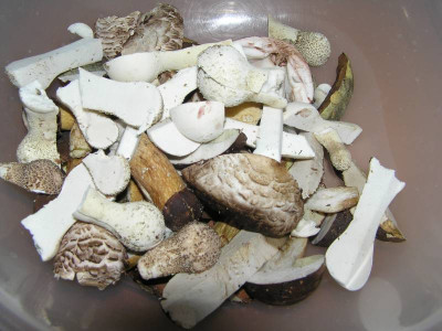 pilzschuessel0909.jpg