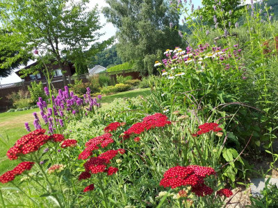 20180706_155750.jpg