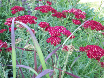 20180707_104029.jpg
