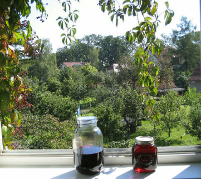 Blick_nach_hinten_1_1_4_1.jpg