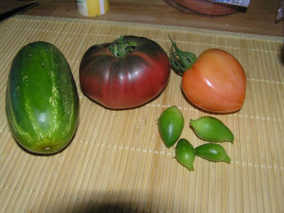 ernte09091.jpg