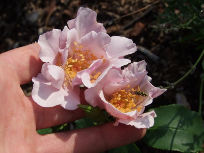 DSCF9963.JPG