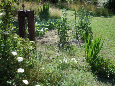 DSCN9828.JPG