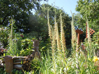 DSCN9820.JPG