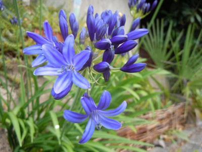 DSCN9848.JPG