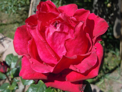 DSCN9842.JPG