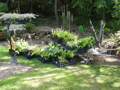 2020-07-12 Garteneinblick 6.jpg