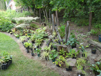 2020-07-12 Garteneinblick 7.jpg