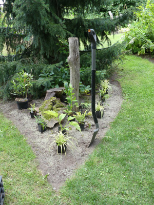 2020-07-12 Garteneinblick 8.jpg