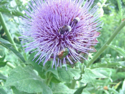 BILD0549.JPG