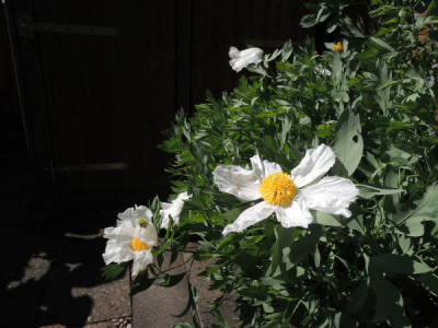 DSCN4045_4839.JPG