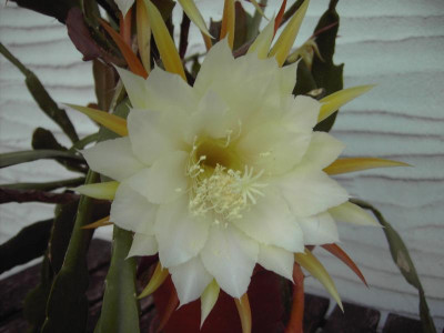 PICT3052.JPG