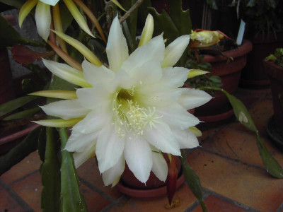 PICT3074.JPG