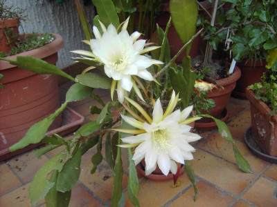 PICT3072.JPG