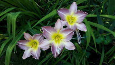 IMG-20200713-WA0005.jpeg
