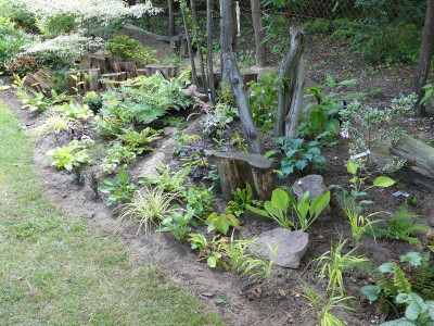 2020-07-13 Garteneinblick 1.jpg