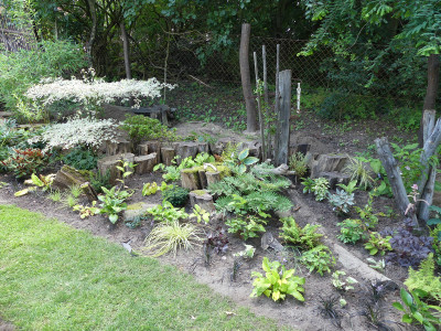 2020-07-13 Garteneinblick 3.jpg