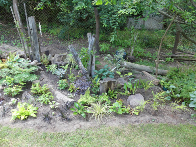 2020-07-13 Garteneinblick 4.jpg