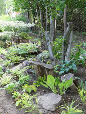 2020-07-13 Garteneinblick 5.jpg