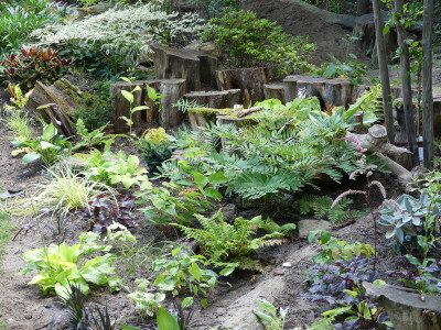 2020-07-13 Garteneinblick 7.jpg
