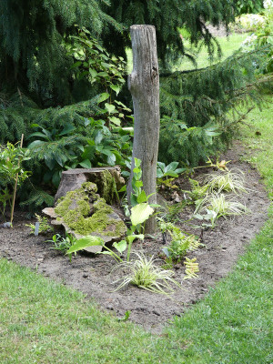 2020-07-13 Garteneinblick 8.jpg