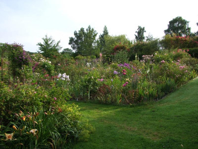 2020_041414Juli0082.JPG
