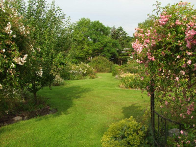 2020_041414Juli0107.JPG
