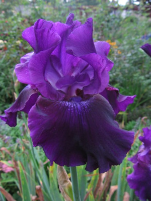 Rosalie_Figge_112.jpg