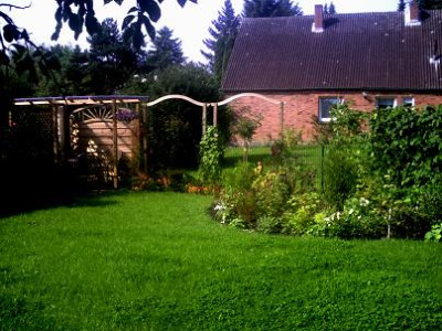 Gartenbilder-16.jpg