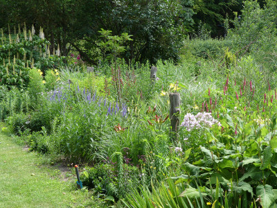 2020-07-12 Garteneinblick 2.jpg