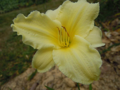 DSCN9860.JPG