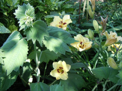 DSCN9856.JPG