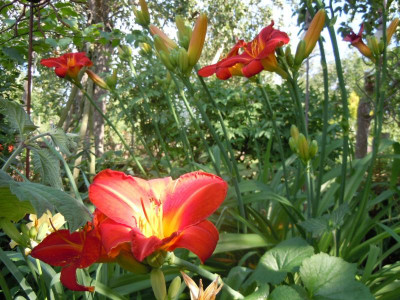 DSCN9855.JPG