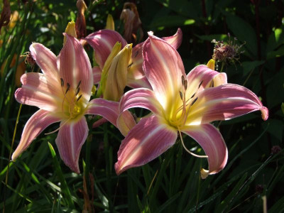 2020_0416MitteJuliHems0073.JPG