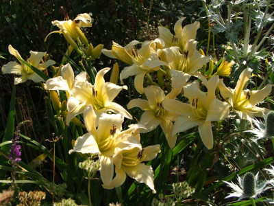 2020_0416MitteJuliHems0014.JPG