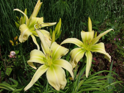 2020_0416MitteJuliHems0036.JPG