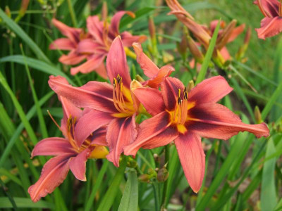 2020_0416MitteJuliHems0055.JPG